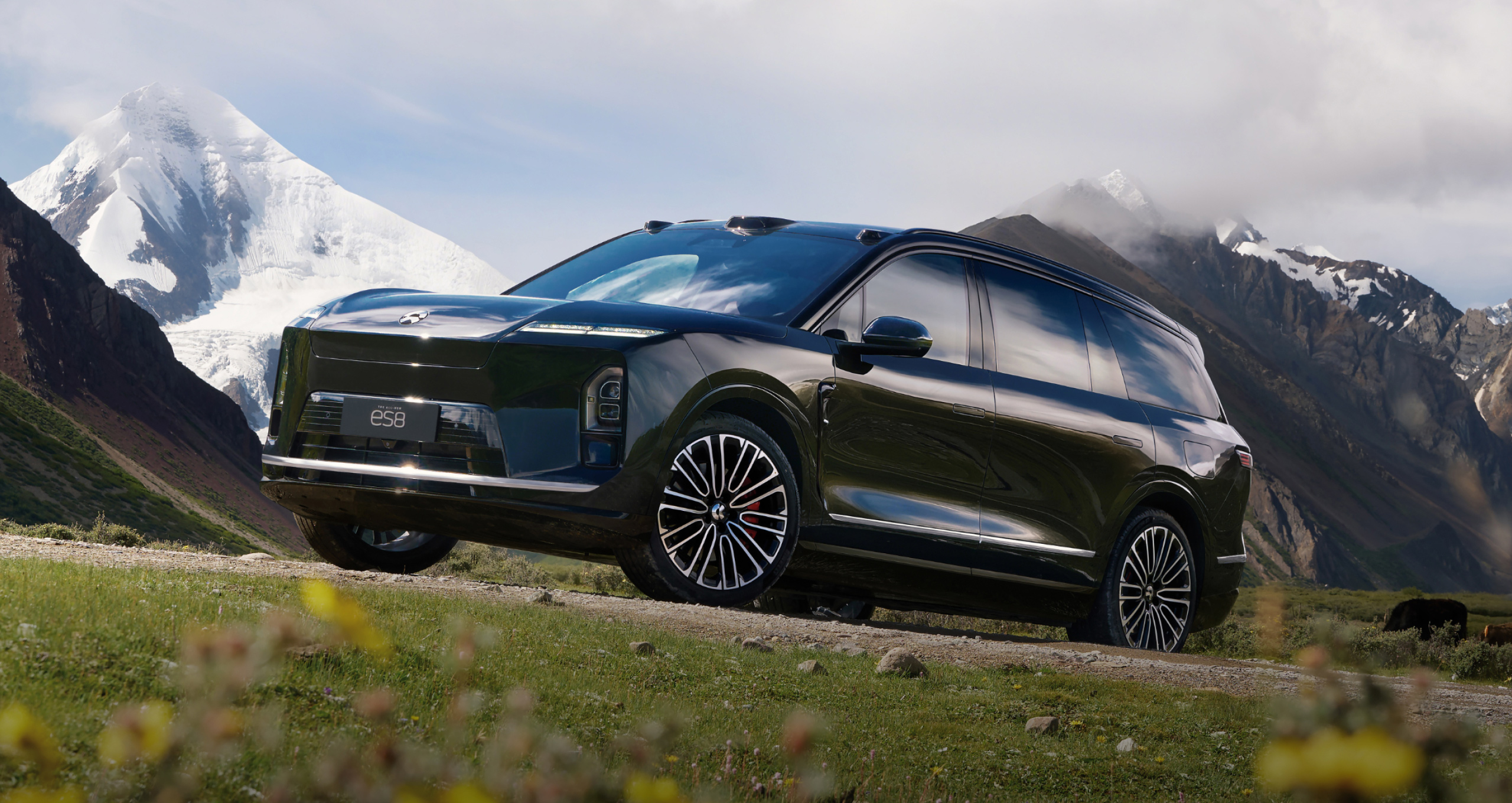 Vehicle: NIO ES8